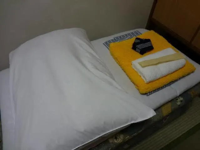Ryokan Sansuiso Prefektura Tokio